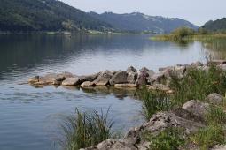 alpsee